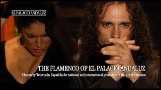 Flamenco Show  Tablao Flamenco El Palacio Andaluz [upl. by Emilee437]