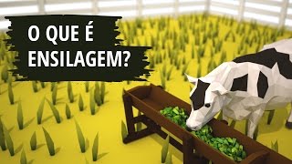 O que é Ensilagem [upl. by Ahkihs]