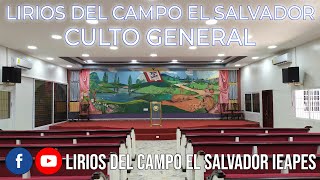 Culto General 151024  Lirios Del Campo El Salvador [upl. by Normandy]