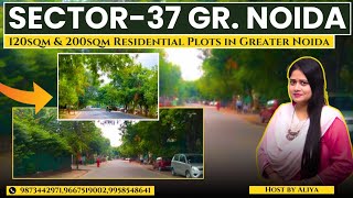 Greater Noida Authority Plots  Sector37Greater Noida  120sqm amp 200sqm Residential Plots  Review [upl. by Aihsatan]