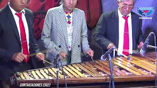 SONES BAILABLES EN MI SACAPULAS CON MARIMBA ALMA RIOBLANQUENSE [upl. by Palumbo]