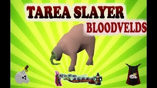 Tarea Slayer Bloodvelds  Runescape en español [upl. by Akeirahs]