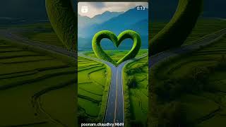 ও কোয়েল কে জেসি হে তেরি এবলেa kolya ka gacye ha turye abulashortvideo shortvideo [upl. by Dnaletak]