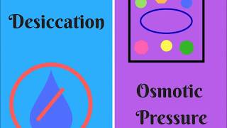 Desiccation and Osmotic Pressure  How to Study Microbiology [upl. by Roxi770]