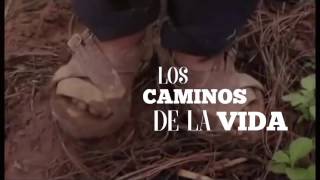 LOS CAMINOS DE LA VIDA  Banda Lirio Video Lyric [upl. by Heyes]