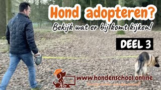 Hond adopteren deel 3 [upl. by Ezirtaeb]