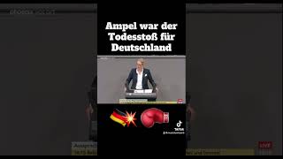 Alice Weidel zur Ampel Regierung💥⚡️ [upl. by Castle103]