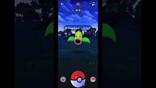 Catch Weepinbell in Pokémon GO Shorts Weepinbell PokémonGOGameplay [upl. by Yt]