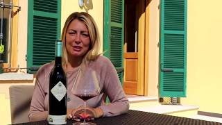 A Visit to Marchesi di Barolo [upl. by Hansel]