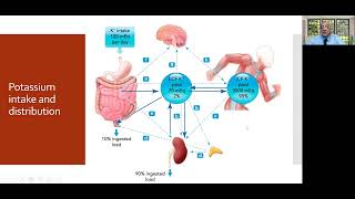 HYPERKALEMIA IN CKD [upl. by Reed839]