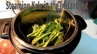 Steaming Kale in the Instant Pot [upl. by Adria]