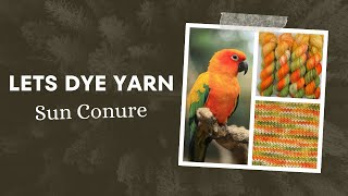 Lets Make Hand Dyed Yarn  Sun Conure [upl. by Posner]