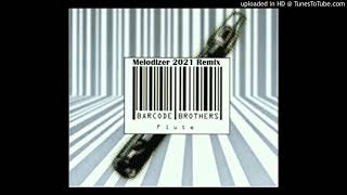 Barcode Brothers  Flute Melodizer 2021 Remix [upl. by Boot]