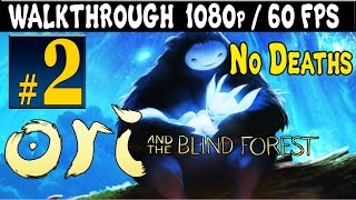 ORI And The Blind Forest Walkthrough  Part 2 Hollow Grove 1080p 60FPS PC  Xbox One  Xbox 360 [upl. by Indihar]