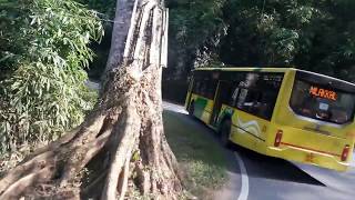 Sabarimala Ghat Road  Dangerous Ghat Roads in india  Safe Journey Using Kerala State RTC Buses [upl. by Neelhtakyram910]