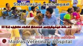 ❤️ Steffi செய்யும் அலப்பறைகள் Madras Veterinary Hospital Pet Hospital animals pets hospital dog [upl. by Itsrik]