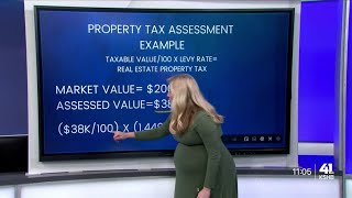 Breaking down your property tax bill amp how tax levies fit in [upl. by Alfeus]