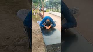 Best exercise back pain ye exercise karne se aapka back pain thik ho jaye ga youtubeshortvideo [upl. by Aros]