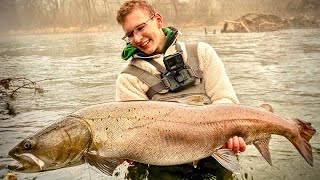 Angler fängt riesigen Huchen in heimischen Bach Full Film 4k [upl. by Noloc]