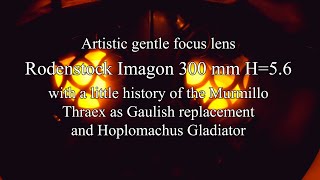 Artistic gentle focus lens Rodenstock Imagon 300mm H56 a little history of the Murmillo Gladiator [upl. by Riplex]