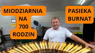 MIODZIARNIA NA 700 RODZIN [upl. by Arikahs]