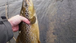 Flyfishing Maine  Landlocked Salmon Fishing [upl. by Fabe]