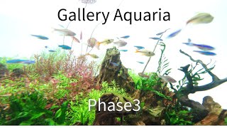 Gallery Aquaria 紹介動画 phase3 [upl. by Nylitsirk481]