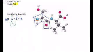 Identify the following dipeptide [upl. by Ocirne]