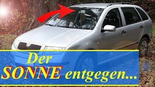 Halter für Sonnenblende ersetzen  Skoda Fabia Combi 6Y  Sun Visor Bracket Replacement [upl. by Goeselt]