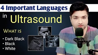 4 Important Language in Ultrasound by Dr Ali Waqar [upl. by Morgan13]