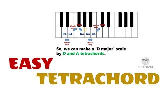 Tetrachord for Beginner [upl. by Vidal]