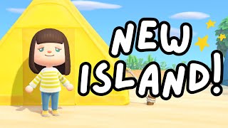 Starting a new Animal Crossing island for Christmas [upl. by Tullus]