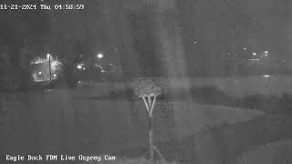 Eagle Dock Live Osprey Cam [upl. by Cullen]