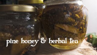 Random cosy deeds of simple living in Siberia vlog make herbaltea pinehoney diy [upl. by Atteloiv726]