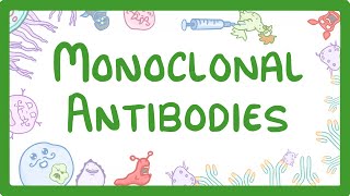 GCSE Biology  Monoclonal Antibodies 40 [upl. by Ecirtak665]