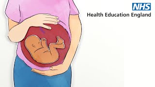 Perinatal and ParentInfant mental health eLearning [upl. by Juanne]