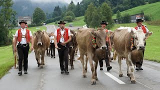 Alpabfahrt im Toggenburg Ennetbühl [upl. by Shapiro892]