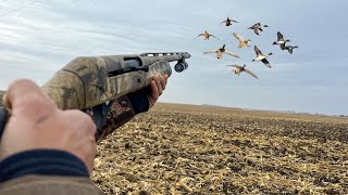 Duck Hunting Cold Late Season Mallards Pintails and Wigeon [upl. by Claiborne156]