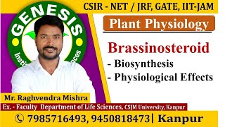 Brassinosteroids  Plant Physiology  CSIR NETJRF  Life science  GATE DBT [upl. by Nevile]