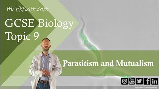 Parasitism and Mutualism  GCSE Biology 91 94 [upl. by Yerggoeg]