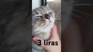 3 liras [upl. by Vassily]