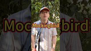 Mockingbird Cover [upl. by Erasaec]