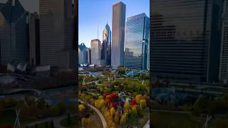 chicago Fall is Here chicagoskycam [upl. by Siegfried]