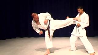 Shotokan Karate Exercise Ushiro Geri Back Kick [upl. by Asimaj]