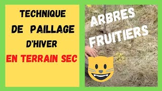 Paillage des arbres fruitiers en hiver en terrain sec et drainant  Permaculture [upl. by Arihsak169]