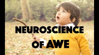 The Neuroscience of Awe  Review of Dr Dacher Keltners book Awe [upl. by Eki]