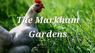 Breathe Easier TheMarkhamGardens Transform Your Chicken Coop with Positive Pressure Ventilation [upl. by Sudaorb]