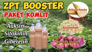 ZPT BOOSTER ‼️PAKET KOMLIT AUKSIN SITOKININ GIBERELIN [upl. by Feil]