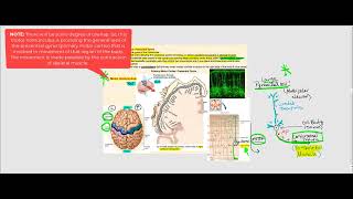 Lecture Video 8 The Brain [upl. by Minica481]