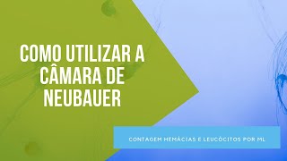 Como utilizar a câmara de neubauer para contar hemácias e leucócitos por mL [upl. by Llereg]